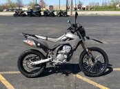 2024 Kawasaki KLX300