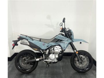 2024 Kawasaki KLX300 SM