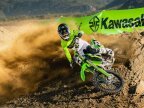Thumbnail Photo 1 for New 2024 Kawasaki KX250