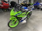 Thumbnail Photo 2 for New 2024 Kawasaki Ninja 500