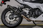 Thumbnail Photo 3 for 2024 Kawasaki Ninja 500