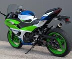 Thumbnail Photo 1 for 2024 Kawasaki Ninja 500