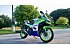 2024 Kawasaki Ninja 500 SE 40th Anniversary Edition ABS