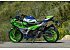 2024 Kawasaki Ninja 500 SE 40th Anniversary Edition ABS