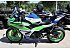 2024 Kawasaki Ninja 500