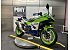 2024 Kawasaki Ninja 500