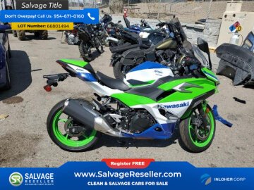2024 Kawasaki Ninja 500
