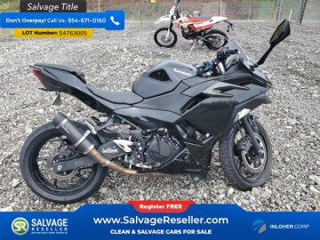 2024 Kawasaki Ninja 500