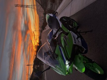 2024 Kawasaki Ninja 500 SE 40th Anniversary Edition ABS