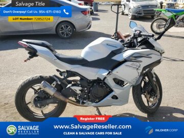 2024 Kawasaki Ninja 500