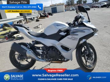 2024 Kawasaki Ninja 500