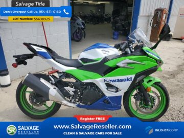 2024 Kawasaki Ninja 500