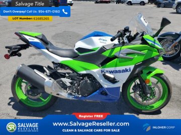 2024 Kawasaki Ninja 500