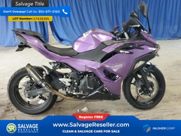 2024 Kawasaki Ninja 500