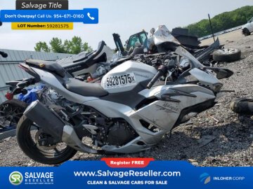 2024 Kawasaki Ninja 500