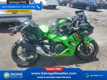 2024 Kawasaki Ninja 500