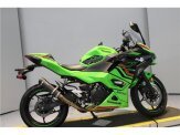 2024 Kawasaki Ninja 500
