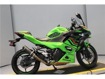 2024 Kawasaki Ninja 500