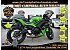 2024 Kawasaki Ninja 650
