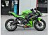 2024 Kawasaki Ninja 650