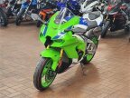 Thumbnail Photo 3 for New 2024 Kawasaki Ninja ZX-10R ABS