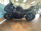 Thumbnail Photo 2 for 2024 Kawasaki Ninja ZX-10R Base