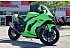 2024 Kawasaki Ninja ZX-10RR
