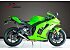 2024 Kawasaki Ninja ZX-10RR