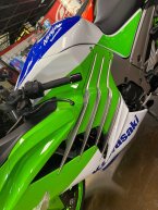 Thumbnail Photo 2 for 2024 Kawasaki Ninja ZX-14R 40th Anniversary Edition ABS
