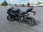 Thumbnail Photo 1 for 2024 Kawasaki Ninja ZX-6R ABS