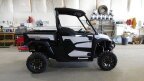 Thumbnail Photo 2 for New 2024 Kawasaki Ridge