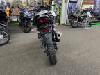 Thumbnail Photo 2 for New 2024 Kawasaki Versys