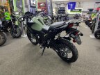 Thumbnail Photo 3 for New 2024 Kawasaki Versys