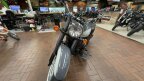 Thumbnail Photo 4 for New 2024 Kawasaki Vulcan 900 Classic