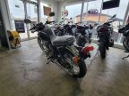 Thumbnail Photo 5 for New 2024 Kawasaki W800