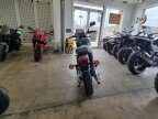 Thumbnail Photo 6 for New 2024 Kawasaki W800