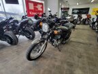Thumbnail Photo 2 for New 2024 Kawasaki W800