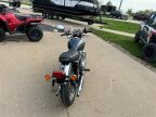 Thumbnail Photo 2 for New 2024 Kawasaki W800