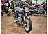 New 2024 Kawasaki W800 ABS