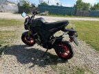 Thumbnail Photo 6 for New 2024 Kawasaki Z125 Pro