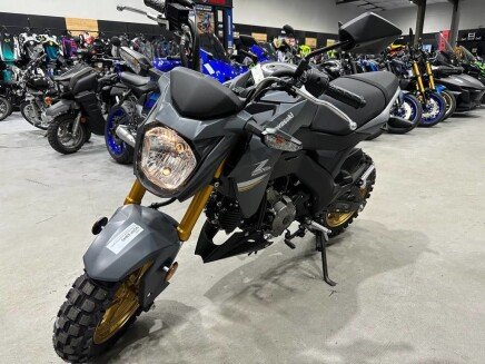 Photo 1 for New 2024 Kawasaki Z125 Pro