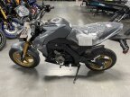 Thumbnail Photo 3 for New 2024 Kawasaki Z125 Pro