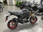 Thumbnail Photo 5 for New 2024 Kawasaki Z125 Pro