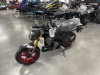 Thumbnail Photo 2 for New 2024 Kawasaki Z125 Pro
