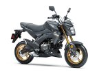 Thumbnail Photo 5 for New 2024 Kawasaki Z125 Pro