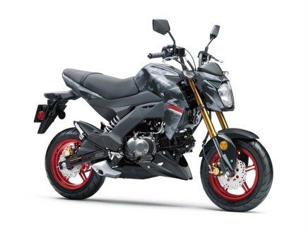 Photo 1 for New 2024 Kawasaki Z125 Pro