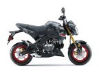 Thumbnail Photo 1 for New 2024 Kawasaki Z125 Pro