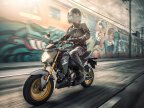 Thumbnail Photo 4 for New 2024 Kawasaki Z125 Pro