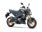 Thumbnail Photo 4 for New 2024 Kawasaki Z125 Pro