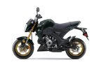 Thumbnail Photo 4 for New 2024 Kawasaki Z125 Pro